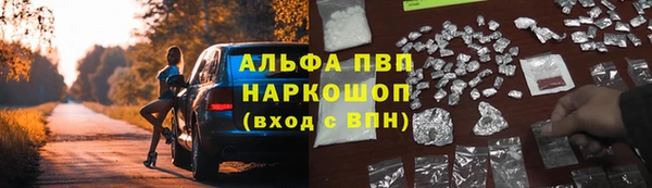 шишки Лабытнанги