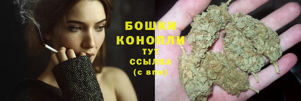 шишки Лабытнанги
