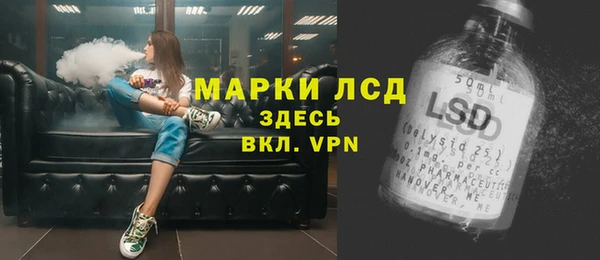 шишки Лабытнанги