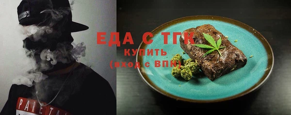 шишки Лабытнанги