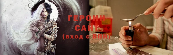 шишки Лабытнанги