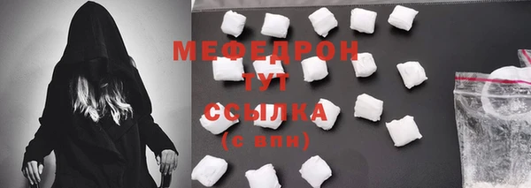 шишки Лабытнанги