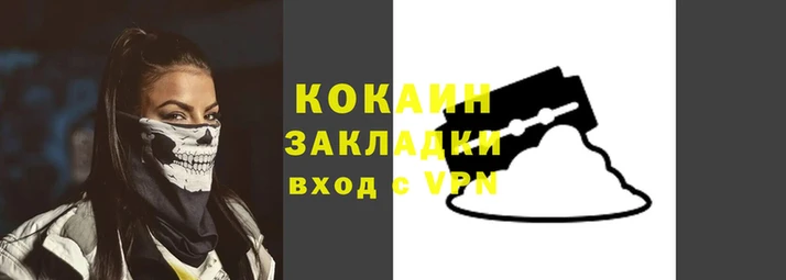 шишки Лабытнанги