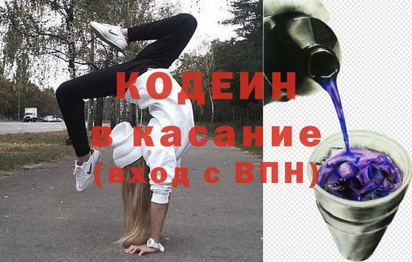 шишки Лабытнанги