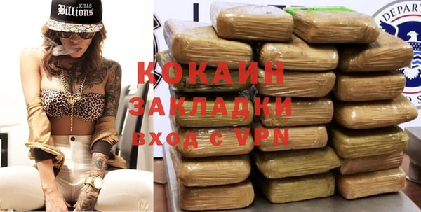 шишки Лабытнанги