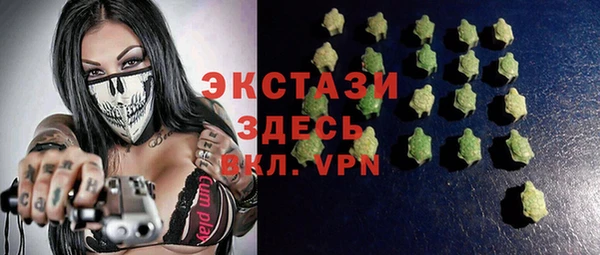 шишки Лабытнанги