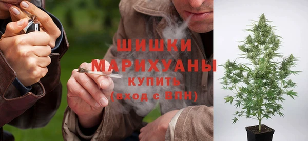 шишки Лабытнанги
