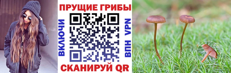 Псилоцибиновые грибы MAGIC MUSHROOMS  Балаково 