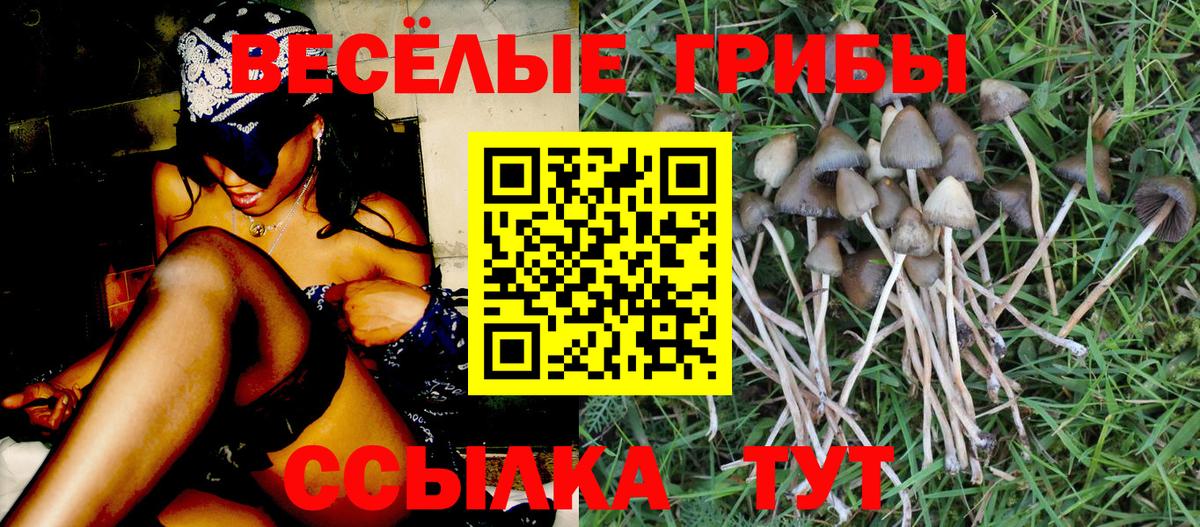 Галлюциногенные грибы Psilocybe  Псилоцибиновые грибы мухоморы  Балаково 