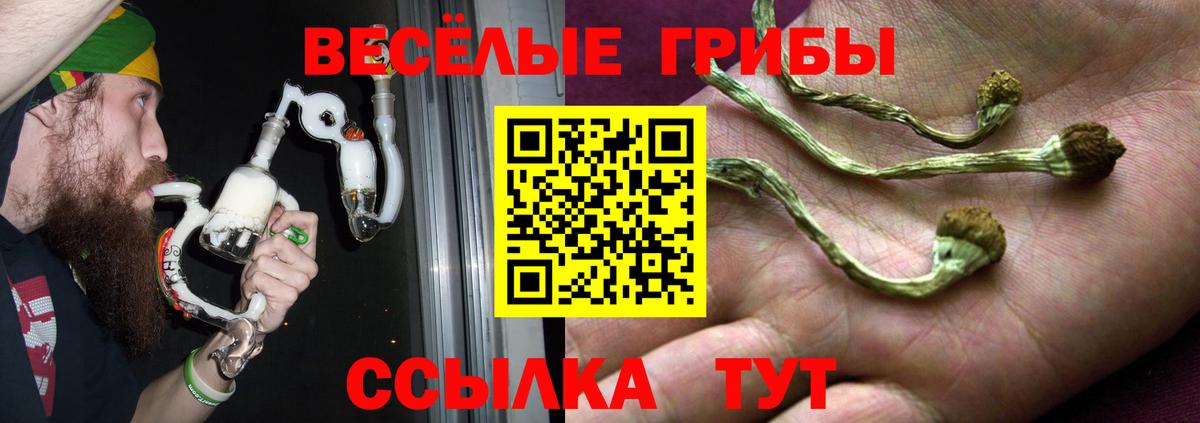 Галлюциногенные грибы ЛСД  Вход с VPN  Псилоцибиновые грибы Cubensis  Балаково 