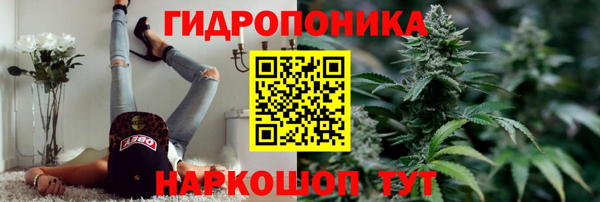 Бошки марихуана гибрид Балаково